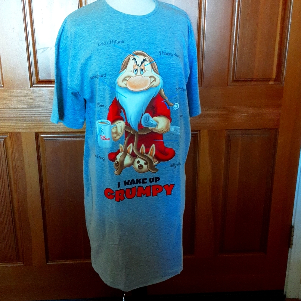 Disney adult night gown.